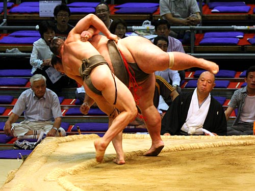 sumo-throw