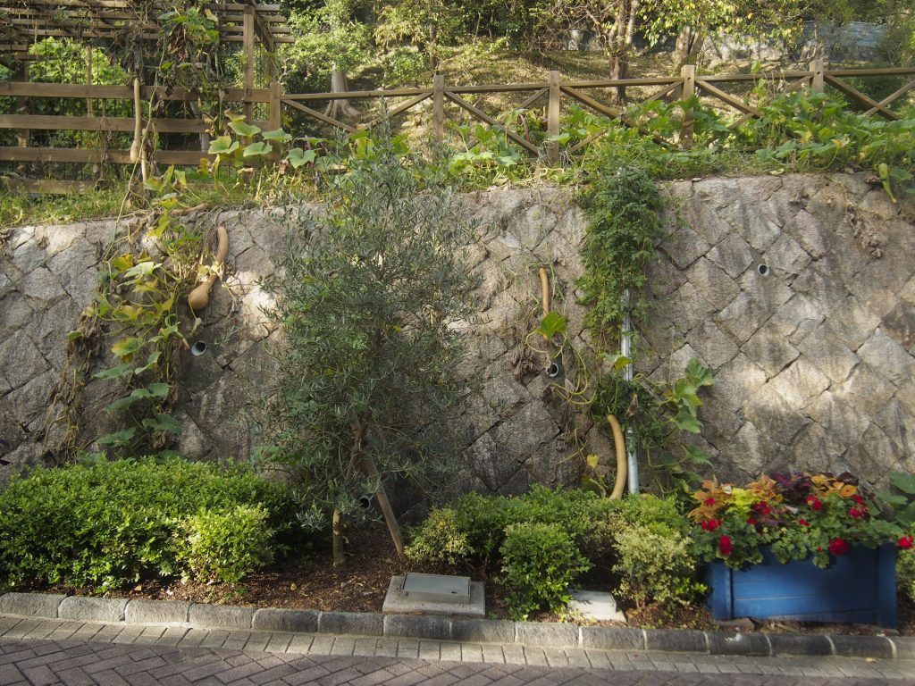 Тыквы в саду Нунобики, Кобе, Япония
