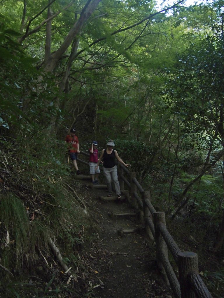 Пробираемся через джунгли к водопадам Нунобики