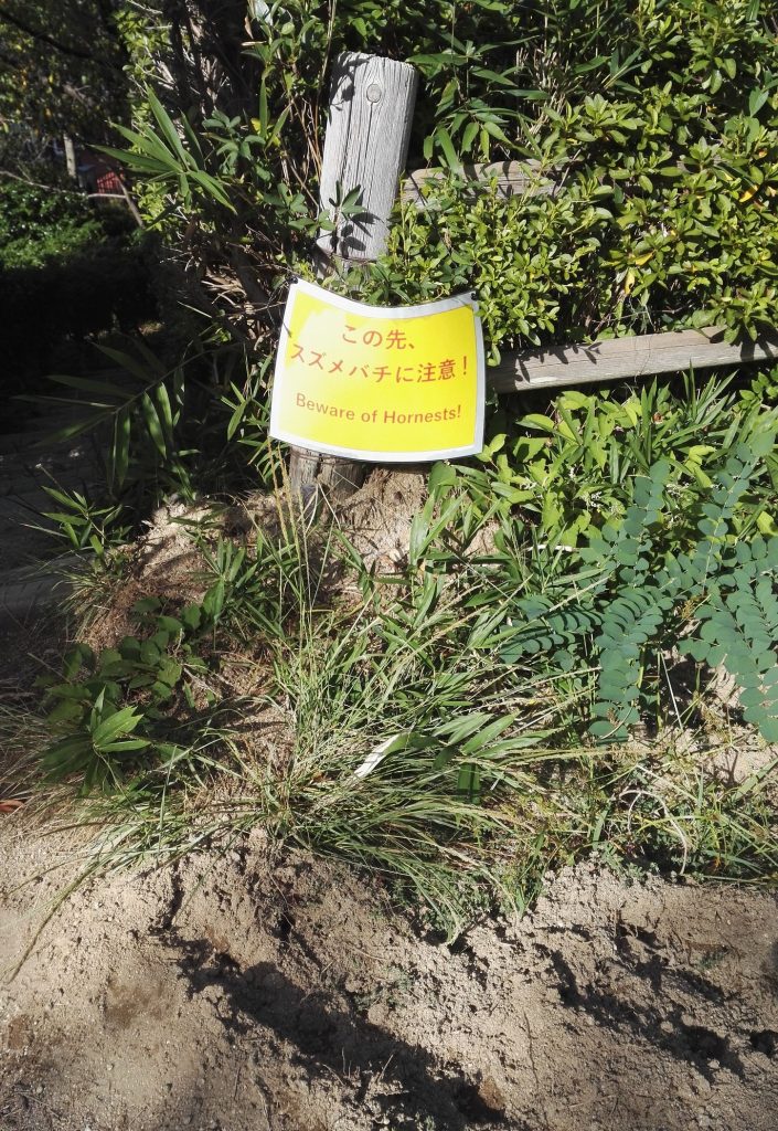 Осторожно шершни! Ботанический сад Нунобики, Кобе, Япония